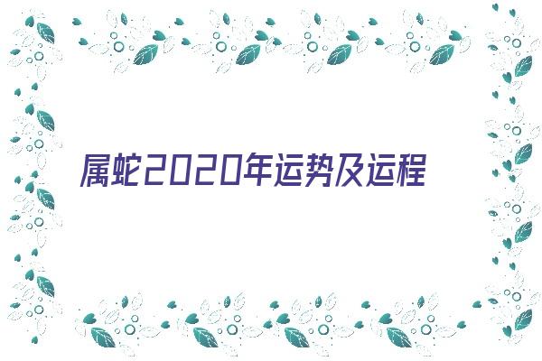  属蛇2020年运势及运程每月运程《属蛇2024年的运势及运程每月运气》 生肖运势