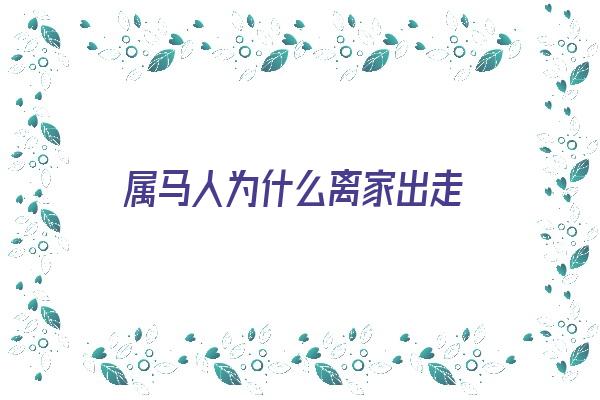 属马人为什么离家出走《属马人为什么离家出走呢》