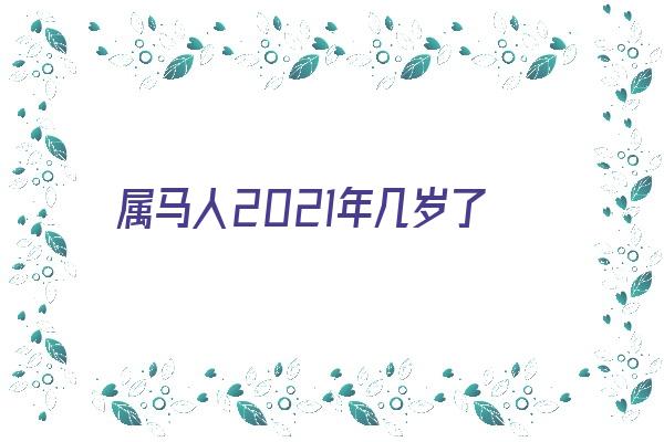 属马人2021年几岁了《属马人2021年几岁了啊》