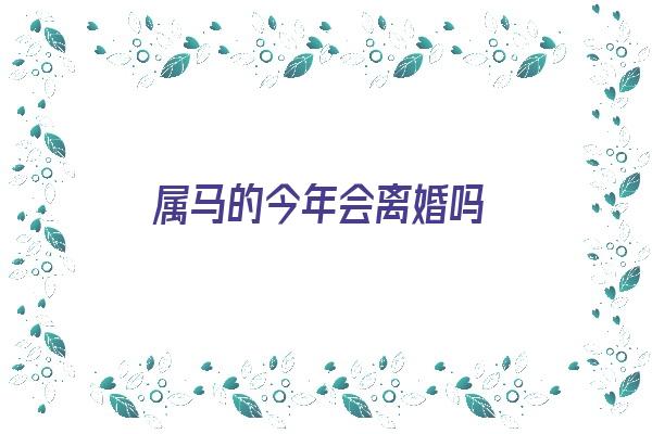 属马的今年会离婚吗《属马的今年会离婚吗2024》