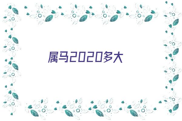 属马2020多大《属马2020多大了》