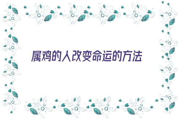 属鸡的人改变命运的方法《属鸡的怎么改变命运》