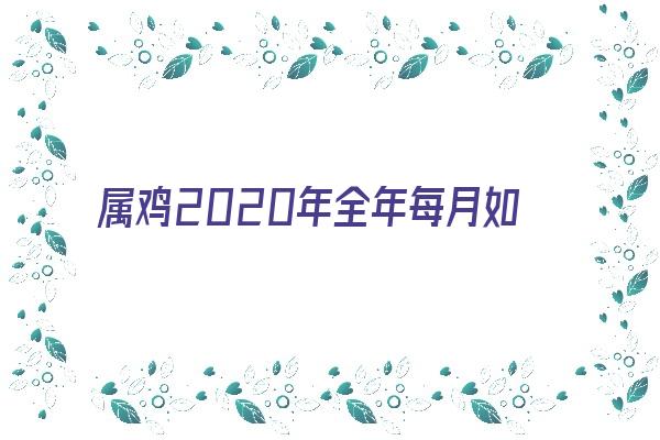 属鸡2020年全年每月如何《2020年属鸡人的全年每月》