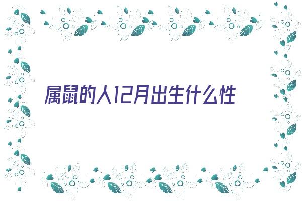 属鼠的人12月出生什么性格《属鼠的人12月出生什么性格女》