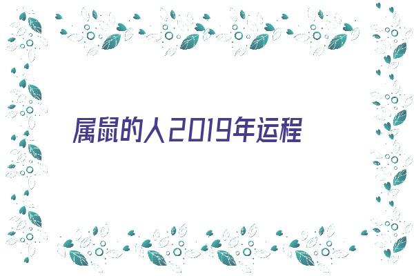 属鼠的人2019年运程《属鼠的人2019年运程如何》