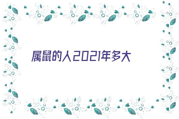 属鼠的人2021年多大《属鼠的人2021年多大了》