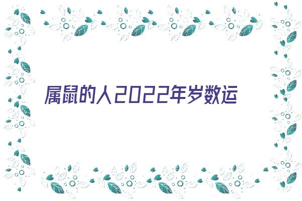 属鼠的人2022年岁数运势《属鼠的人2022年岁数运势如何》