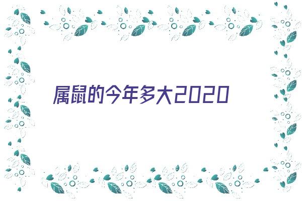 属鼠的今年多大2020《属鼠的今年多大2020年虚岁》