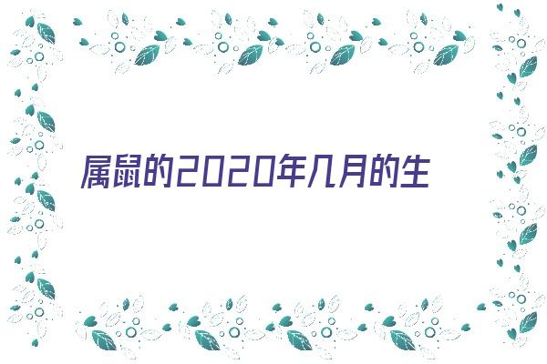 属鼠的2020年几月的生日最好《属鼠的2020年几月的生日最好呢》