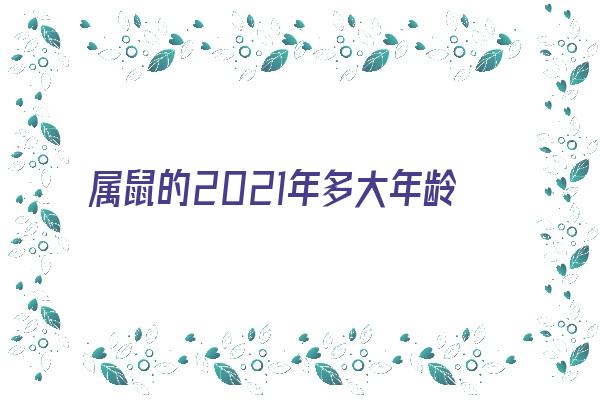 属鼠的2021年多大年龄《属鼠的2021年多大年龄了》