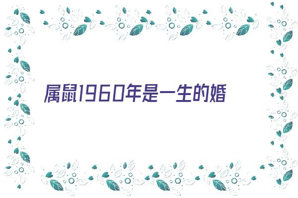 属鼠1960年是一生的婚姻《属鼠1960年是一生的婚姻吗》