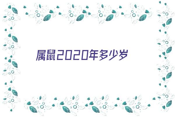 属鼠2020年多少岁《属鼠的2020年多少岁》