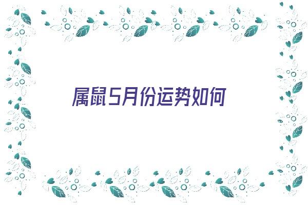 属鼠5月份运势如何《属鼠5月份运势如何2024年》