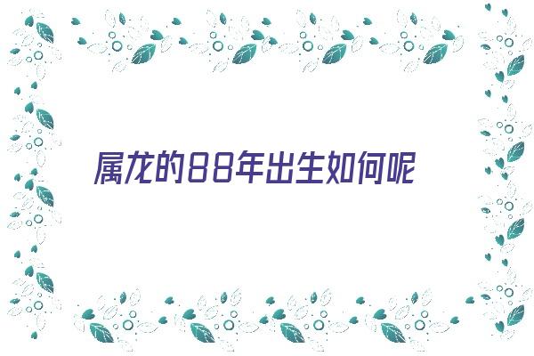 属龙的88年出生如何呢《属龙的88年出生如何呢女孩》