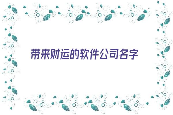 带来财运的软件公司名字《带来财运的软件公司名字大全》