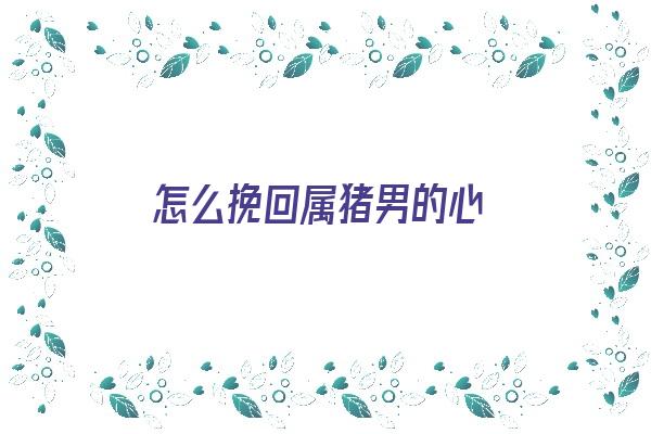 怎么挽回属猪男的心《怎么挽回属猪男的心思呢》