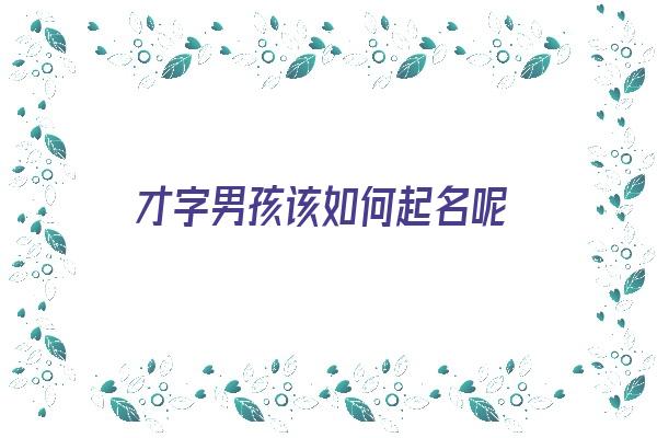 才字男孩该如何起名呢《才字男孩该如何起名呢好听》