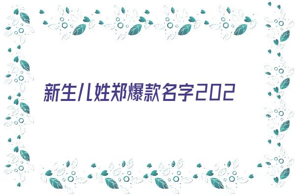 新生儿姓郑爆款名字2024《新生儿姓郑怎么起名》