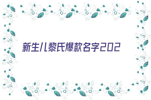 新生儿黎氏爆款名字2024免费《黎氏取名大全 新生儿》