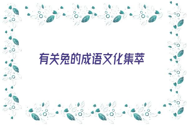 有关兔的成语文化集萃《有关兔的成语文化集萃有哪些》