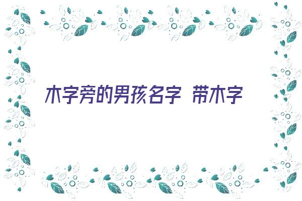 木字旁的男孩名字 带木字旁的男孩名字《木字旁的男孩名字 带木字旁的男孩名字好吗》