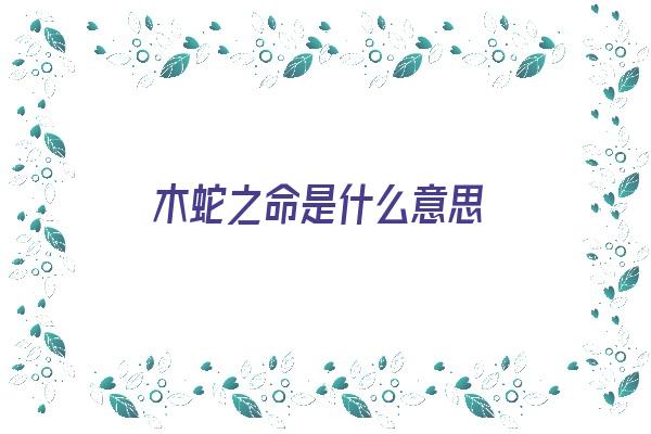  木蛇之命是什么意思《木蛇之命是什么意思2025》 生肖运势