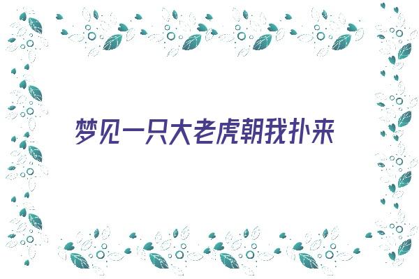 梦见一只大老虎朝我扑来《梦见一只老虎向我扑过来》