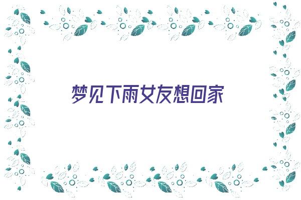 梦见下雨女友想回家《梦见下雨女友想回家了》