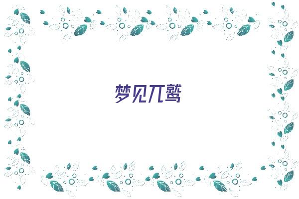 梦见兀鹫《梦见兀鹫是什么意思》