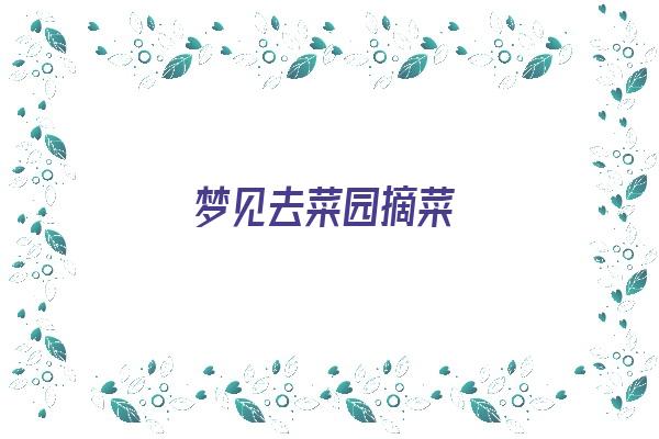  梦见去菜园摘菜《梦见去菜园摘菜意味着什么?》 周公解梦