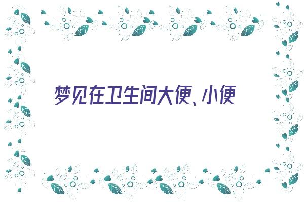  梦见在卫生间大便、小便《梦见在卫生间大便,小便很多》 周公解梦