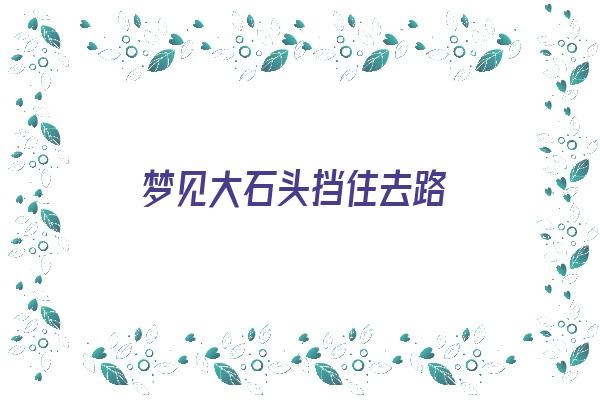 梦见大石头挡住去路《梦见大石头挡住去路预示将来会发生什么?》