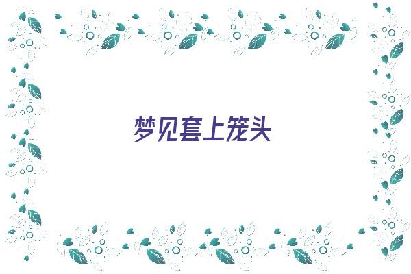  梦见套上笼头《梦见套上笼头的被子》 周公解梦