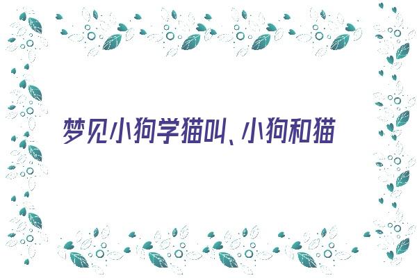 梦见小狗学猫叫、小狗和猫打架《梦见小狗学猫叫,小狗和猫打架了》