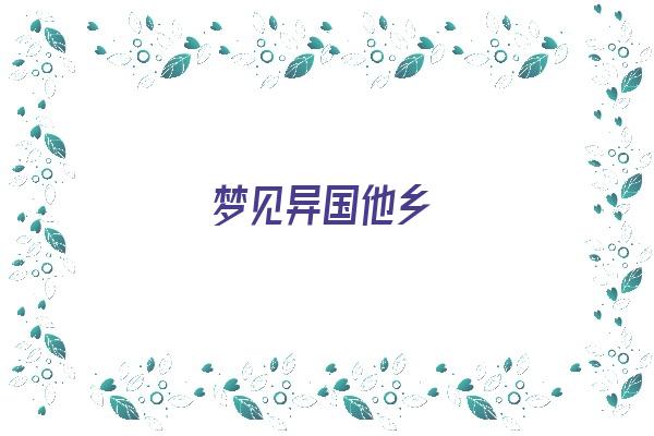 梦见异国他乡《梦见异国他乡迷路》