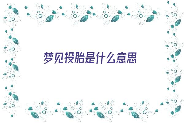 梦见投胎是什么意思《梦见投胎是什么意思周公解梦》