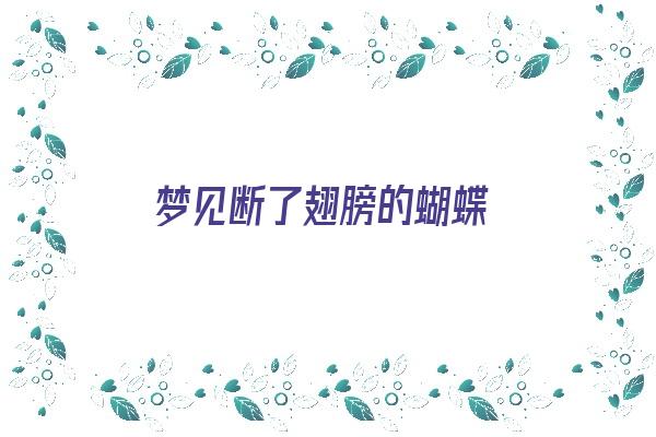 梦见断了翅膀的蝴蝶《梦见断了翅膀的蝴蝶什么意思》