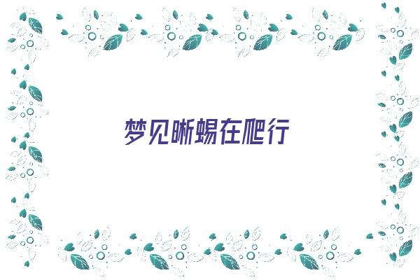  梦见晰蜴在爬行《梦见晰蜴在爬行怎么回事》 周公解梦