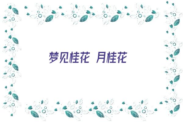 梦见桂花 月桂花《梦见了桂花》