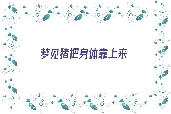 梦见猪把身体靠上来《梦见猪把身体靠上来什么意思》