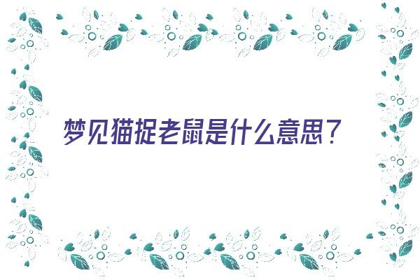 梦见猫捉老鼠是什么意思？《梦见猫捉老鼠是什么意思?_周公解梦》