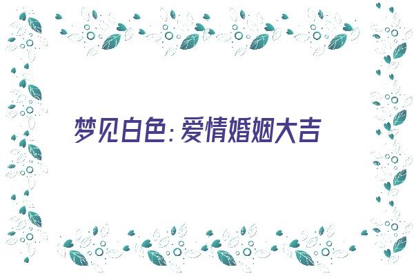 梦见白色：爱情婚姻大吉《梦见 白色》