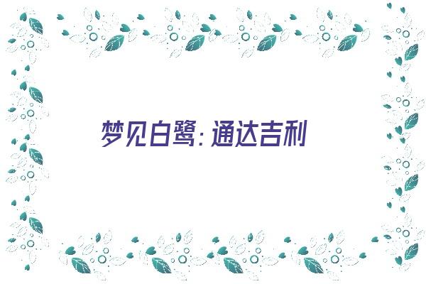 梦见白鹭：通达吉利《梦见白鹭是什么预兆》