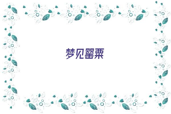 梦见罂粟《梦见罂粟花是什么意思》