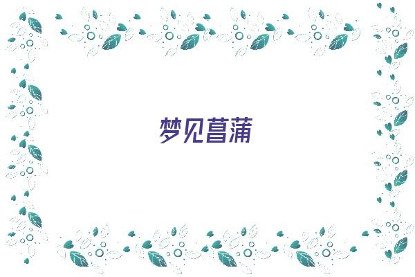 梦见菖蒲《梦见菖蒲是什么意思》