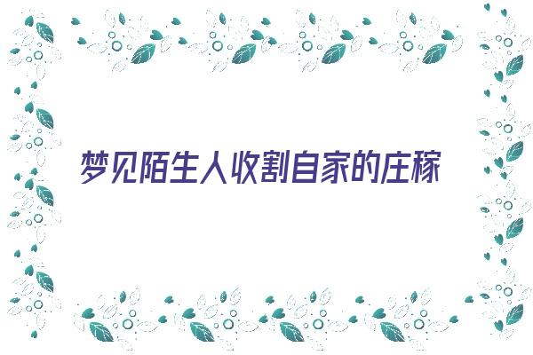 梦见陌生人收割自家的庄稼《梦见陌生人收割自家的庄稼什么意思》