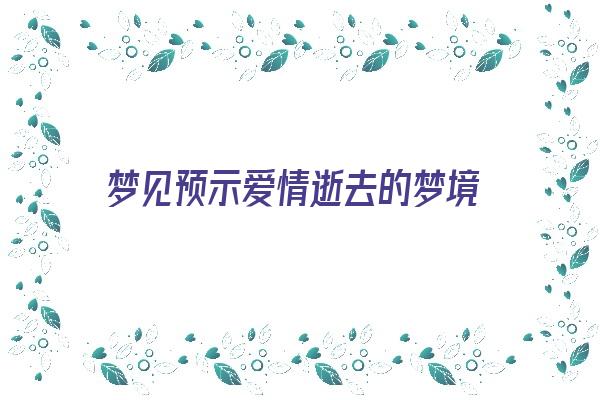 梦见预示爱情逝去的梦境《梦见预示爱情逝去的梦境什么意思》