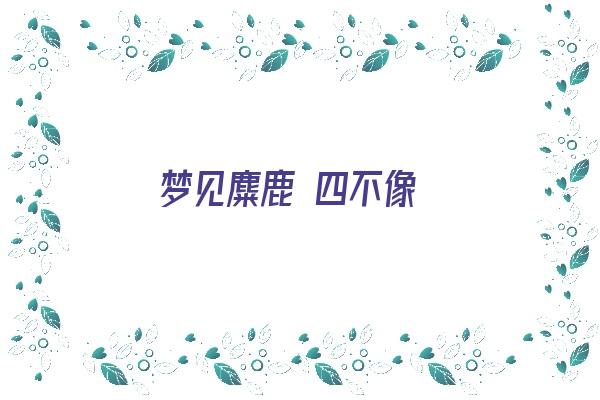 梦见麋鹿 四不像《梦见了麋鹿》