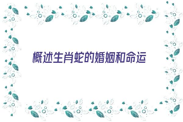 概述生肖蛇的婚姻和命运《概述生肖蛇的婚姻和命运如何》