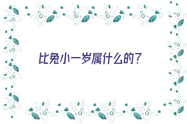 比兔小一岁属什么的？《比兔小一岁属什么的》